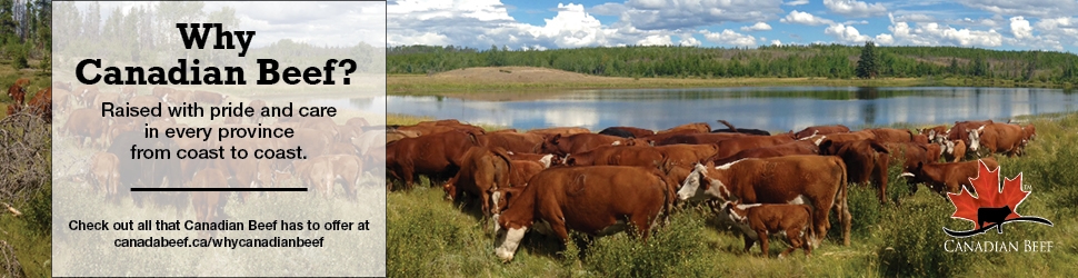 Taste Canada Digital Ad 970x250