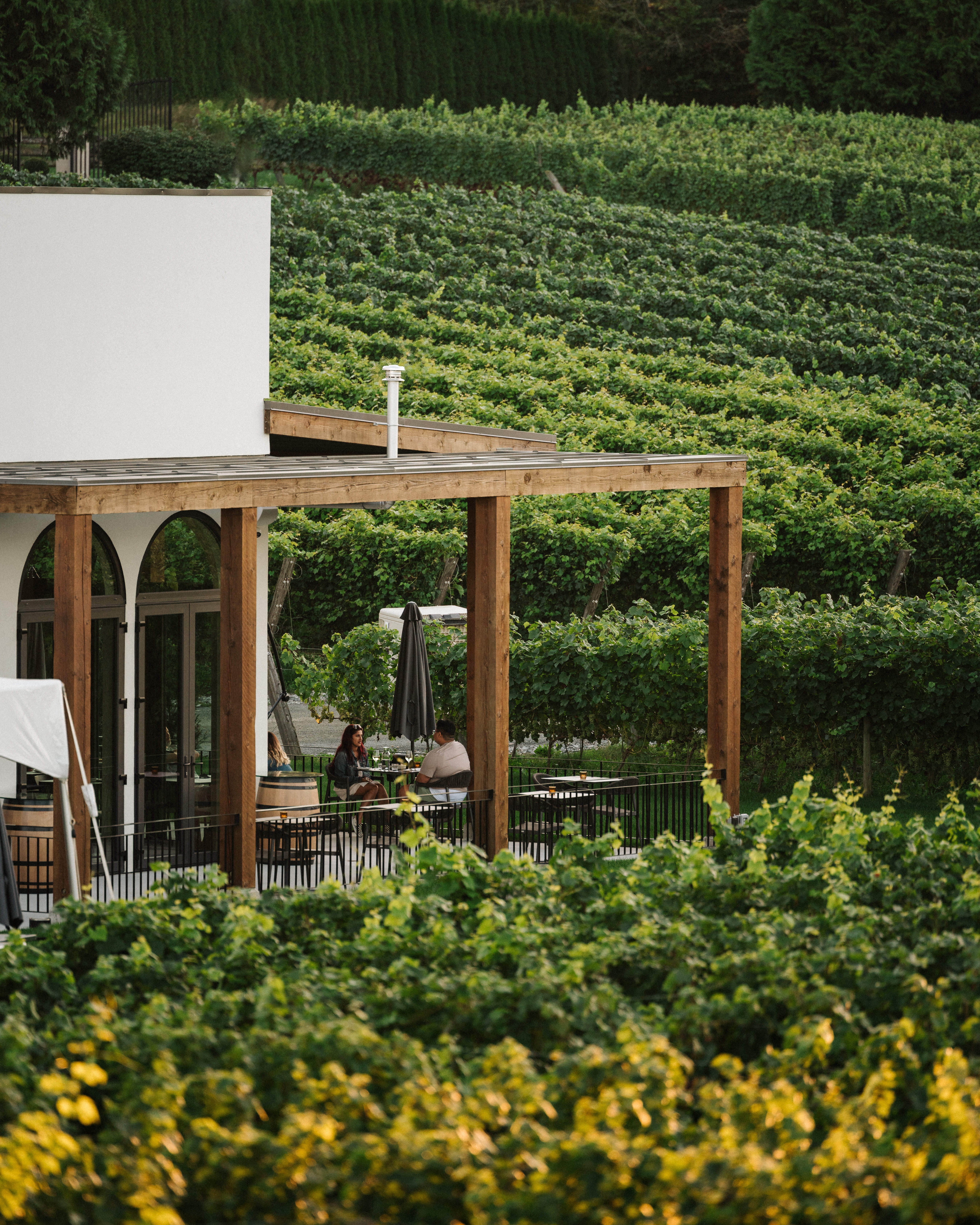 Cannon Estate Winery