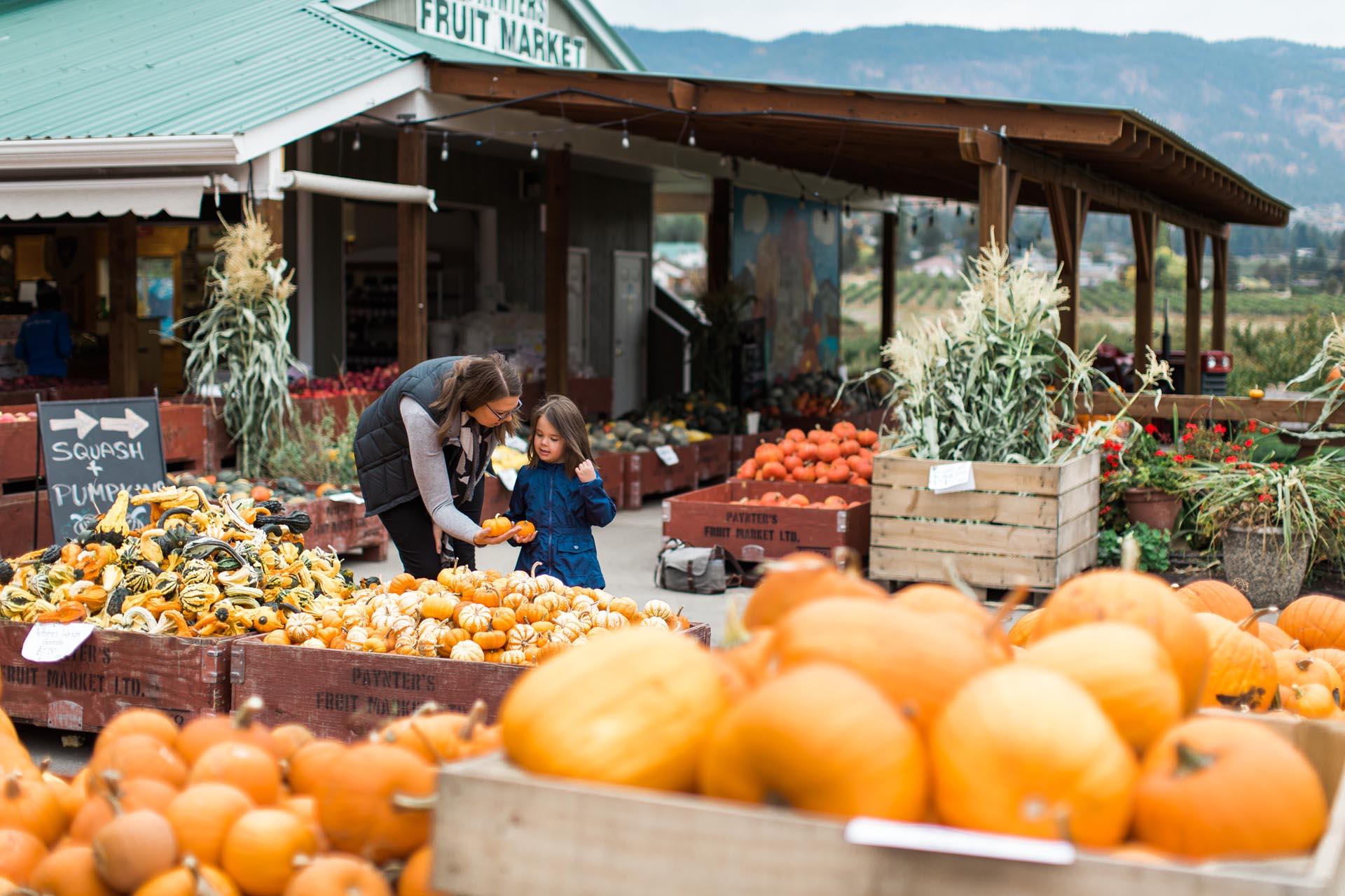 Paynters Fruit Market Fall Scene 22