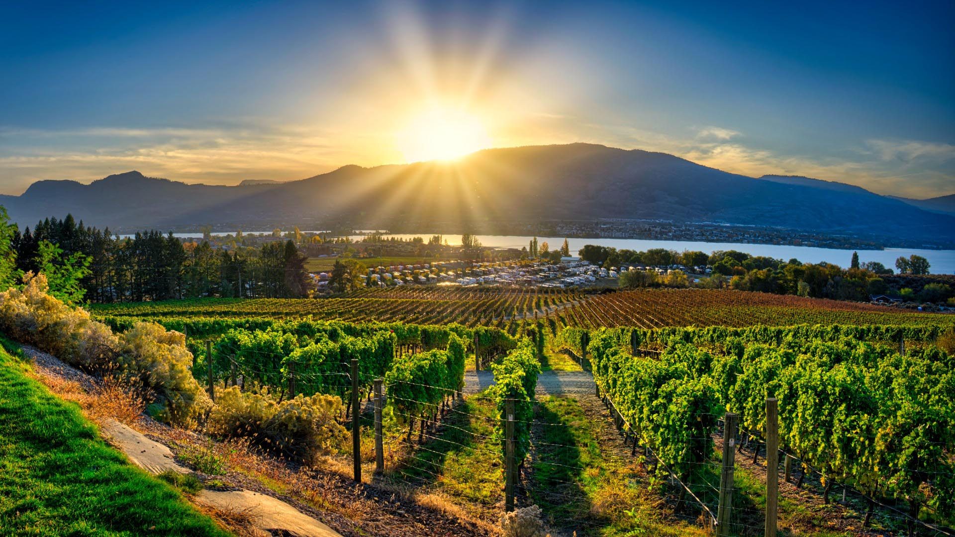 Hero Image Destination Osoyoos