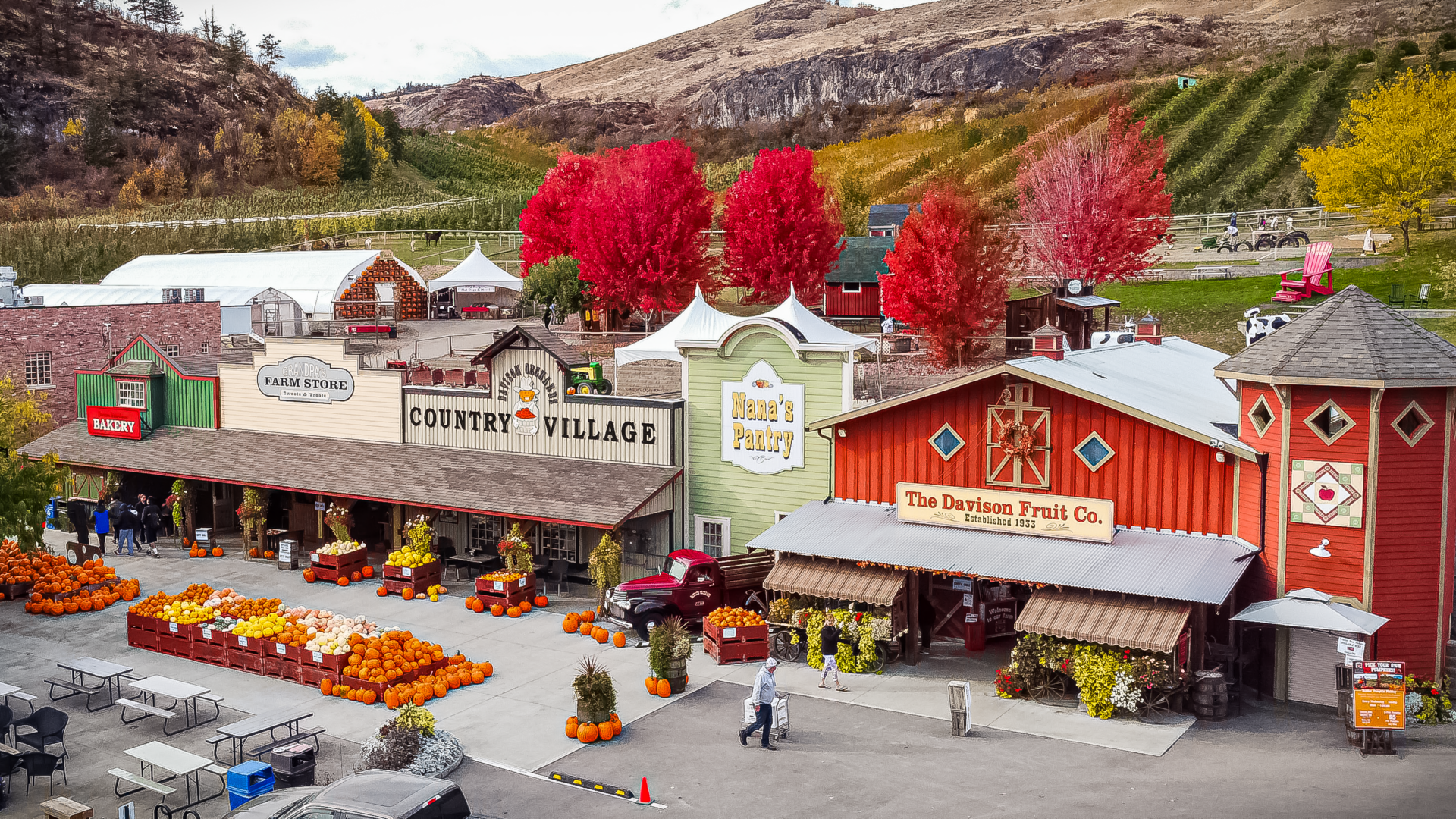 Davison Orchards