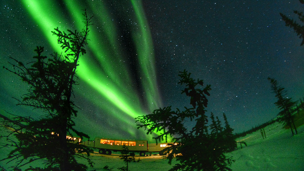 Dans Diner Tundra Buggy