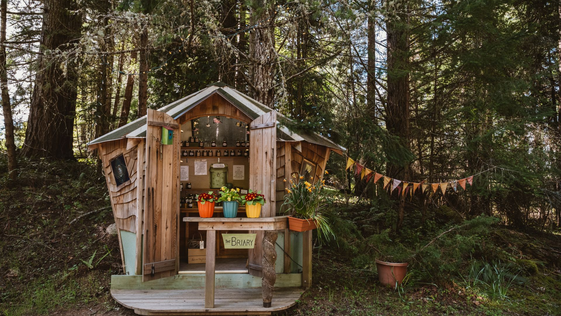 Fall Farm Stands