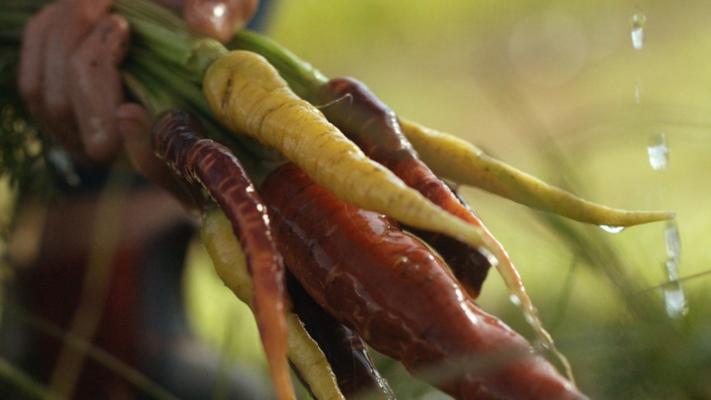 Thompson Okanagan Food Tells a Story