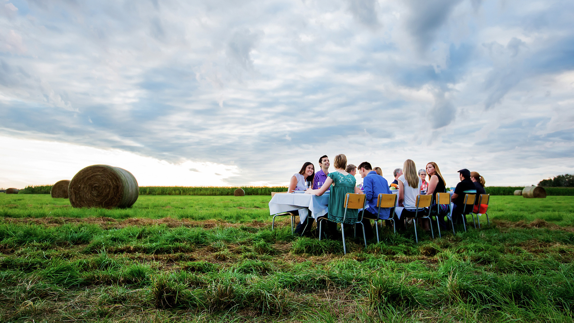 Group of people dining outdoors in a farmer's field.