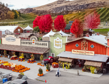 Davison Orchards
