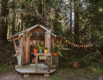 Fall Farm Stands