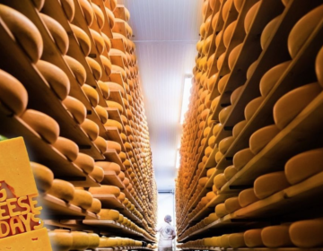 The Big Cheese Days logo is shown alongside a photo of a cheese cave