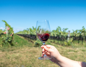 Southbrook Vineyards 16
