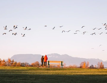 TR2016 Birds 1 1016 1 e1790025278559 1600x858