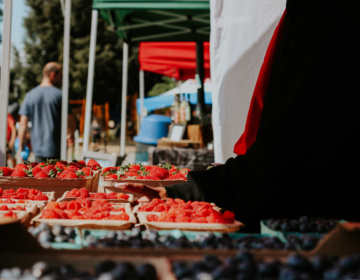 Abbotsford Farmers Market