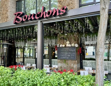 Bouchons