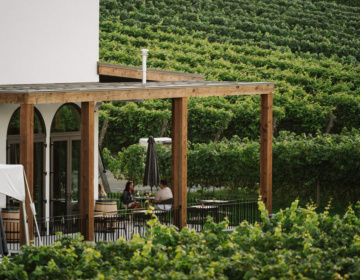Cannon Estate Winery