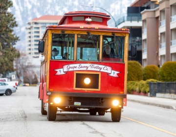 Grape Savvy Tours Penticton