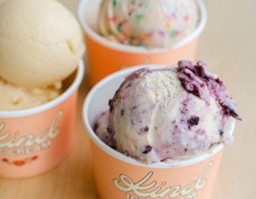 Kind Ice cream Edmonton AB