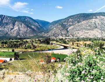 Liber Estates