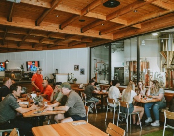 Old Yale Brewing