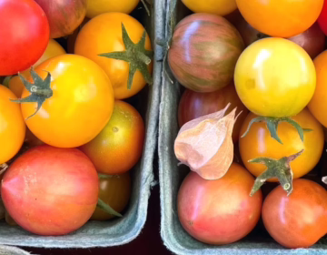 Osoyoos Farmers Market