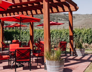 Over the Fence Winery