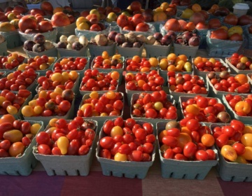 Penticton Farmers Market