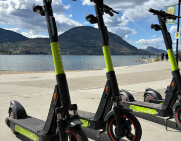 Sparrow Scooter