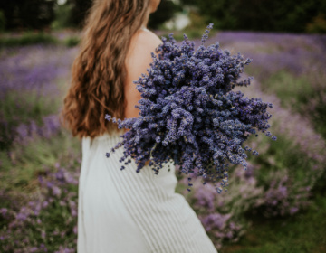 Tuscan Farm Gardens