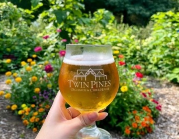 Twin Pines