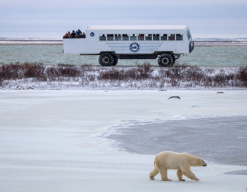 Frontiers North Adventures Image