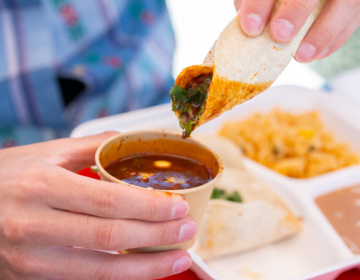 Sofia mexican food 5