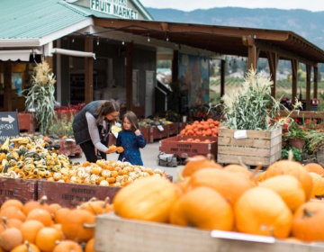 Paynters Fruit Market Fall Scene 22