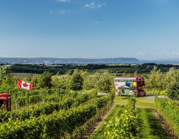 Magic Winery Bus pc Tourism NS Aaron Mc Kenzie Fraser