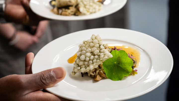 2024 10 24 Devour Chefs Shorts Gala Dinner M Doucette 059 2