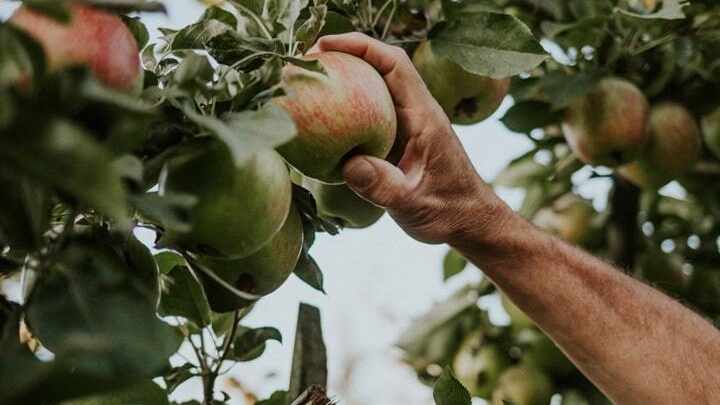 Abbotsford Circle Farm Tour