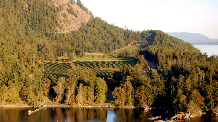Maple Leaf Adventures Wine Islands