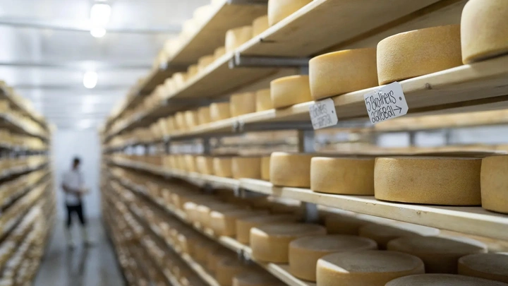 Oxford cheese trail Guns Hill Cheese jpg