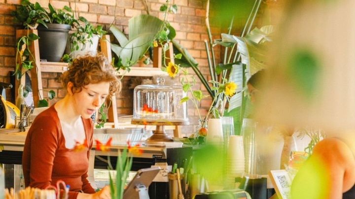The Moth Cafe