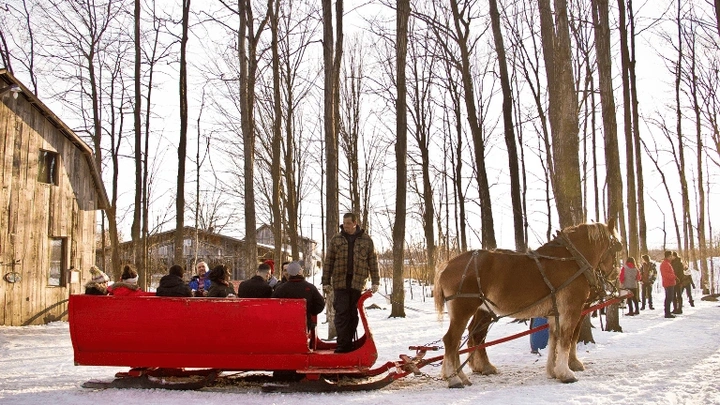 C Ptite Cabane dla Cote Laurentides