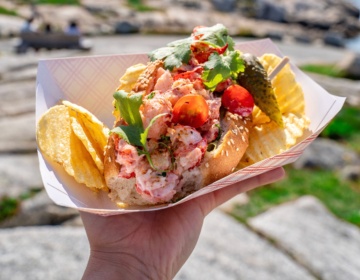 CC2020 Peggys Cove lobster roll credit daveandsky